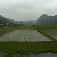 Viet hai village, Cat ba Island