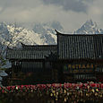 Taustalla lumiset huiput, Lijiang