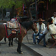 Hevosmiehet, Lijiang