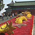 Kukkalohikäärme, Beijing