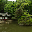 Garden, Changdeokgung Palace