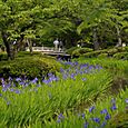 Kenrokuten Garden, Kanazawa