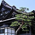 Nishi Betsuin Temple, Kanazawa