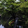 Kenrokuen Garden, Kanazawa