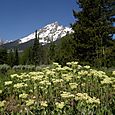 Grand Teton National Park