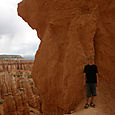 Sasa, Bryce Canyon