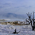 Mammoth Spring, Yellowstone