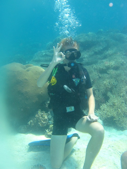 Sasa diving