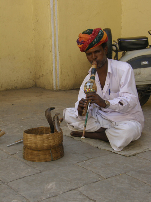 Käärmeenlumooja Jaipur
