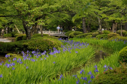 Kenrokuten Garden, Kanazawa