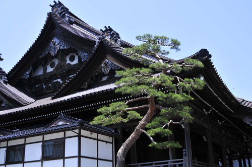 Nishi Betsuin Temple, Kanazawa