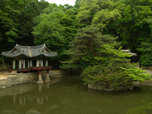 Garden, Changdeokgung Palace