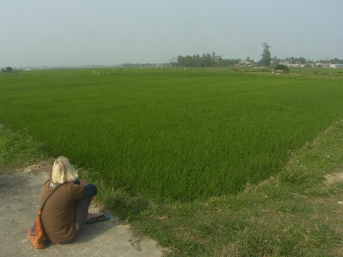 Riisipeltoa, Hoi An